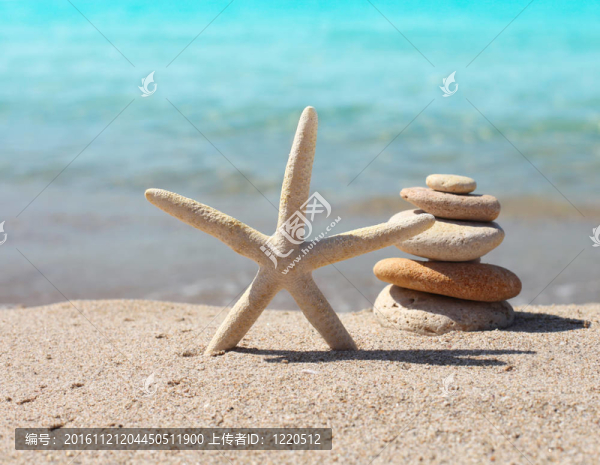 海灘上的兩個(gè)海星