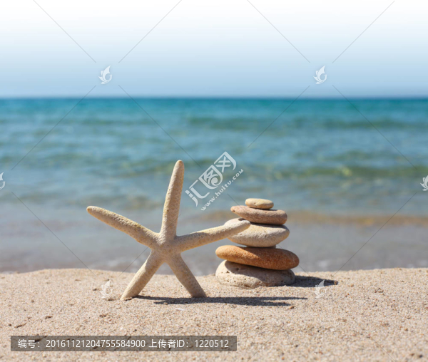 海星；沙灘上的石頭