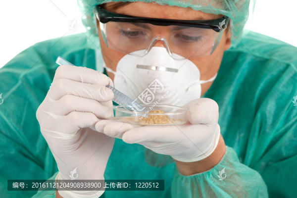 實(shí)驗(yàn)室中的醫(yī)生或化學(xué)家；在白色背景下分離