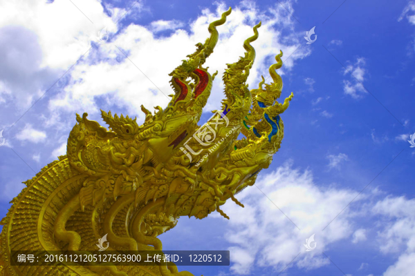 多頭泰國(guó)龍