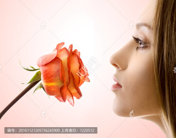 美麗的女人與玫瑰側(cè)視分離