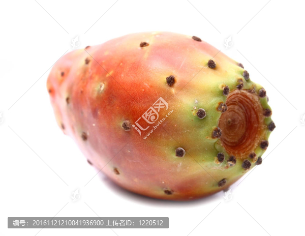 果實(shí)的仙人掌