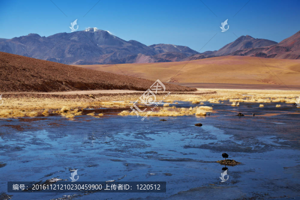 活躍的火山Putana（也被稱為jorqencal或馬丘卡）里約附近的putana；智利