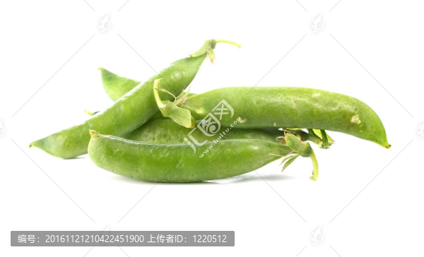綠色的豌豆