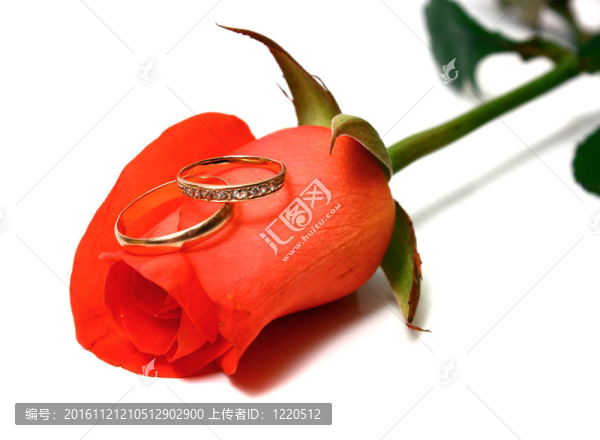 玫瑰和結(jié)婚戒指