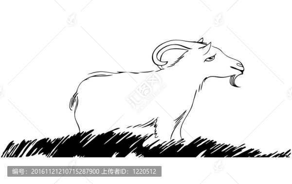 山羊