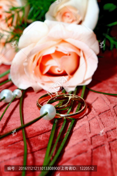 結(jié)婚戒指和玫瑰