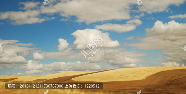 沙漠中的云