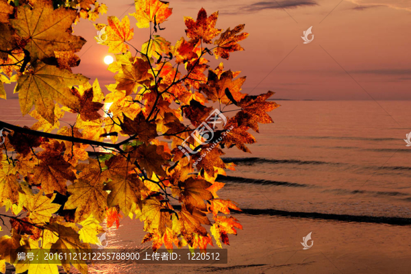 秋天的早晨