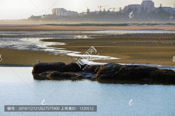 杜羅河