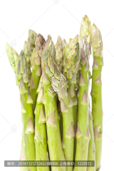鮮綠蘆筍