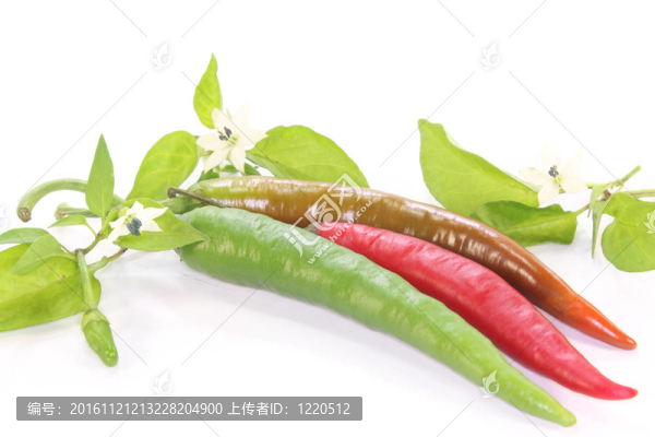 辣椒