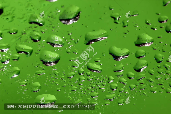 水上滴