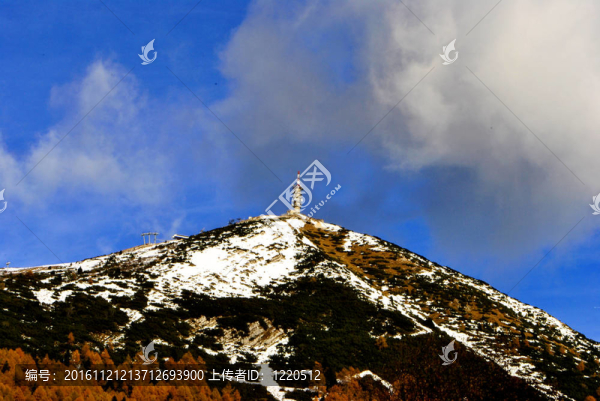 山