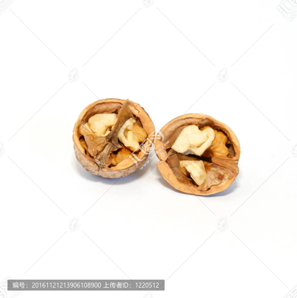 白色的兩個(gè)半孤立的核桃。