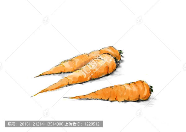 胡蘿卜