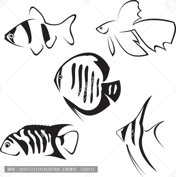 魚缸里的魚。線圖。
