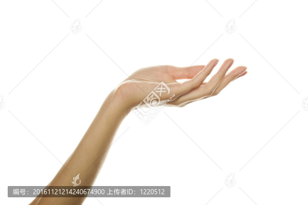 女人的手