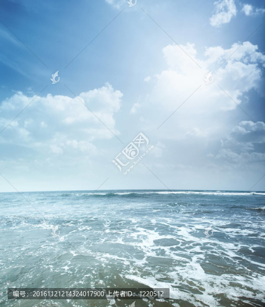海