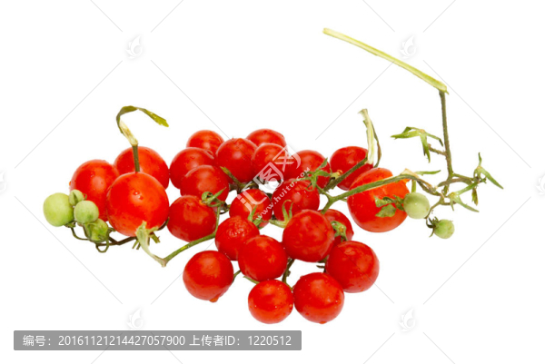 白色的紅色小西紅柿。
