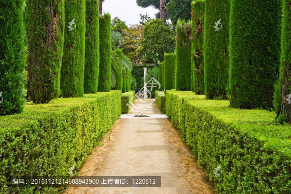 詩人的花園；Alcazar；塞維利亞