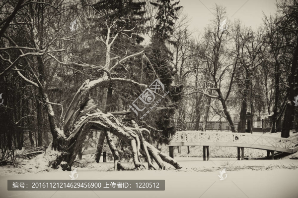 冬季景觀形象