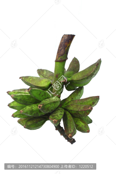 沙巴香蕉