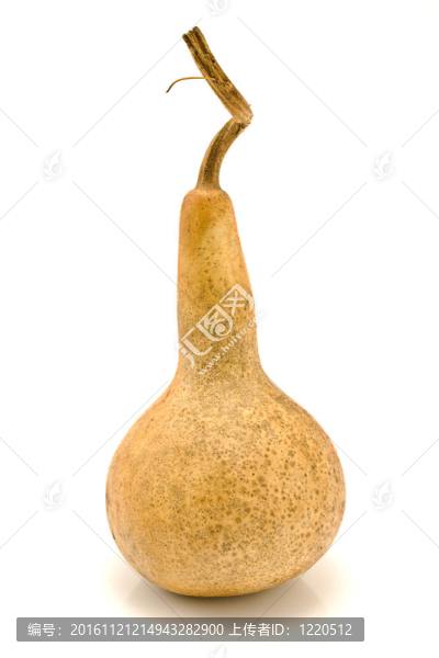 裝飾小南瓜