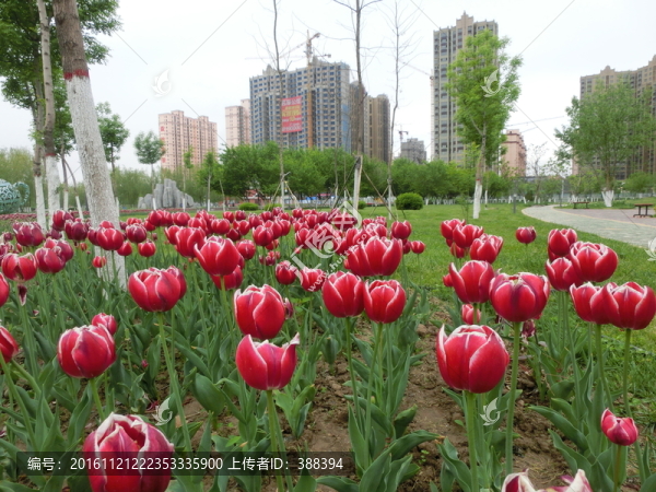 自然風(fēng)光