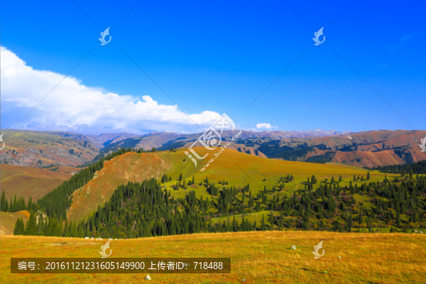 沿途風(fēng)光,山谷