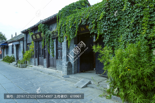 青州古街古屋爬山虎
