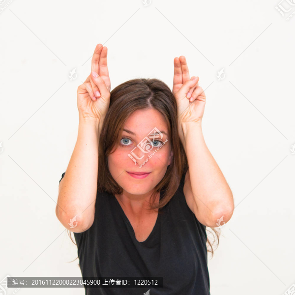 我是一只兔子
