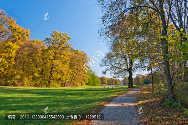 在公園里散步