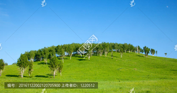 夏天的風(fēng)景
