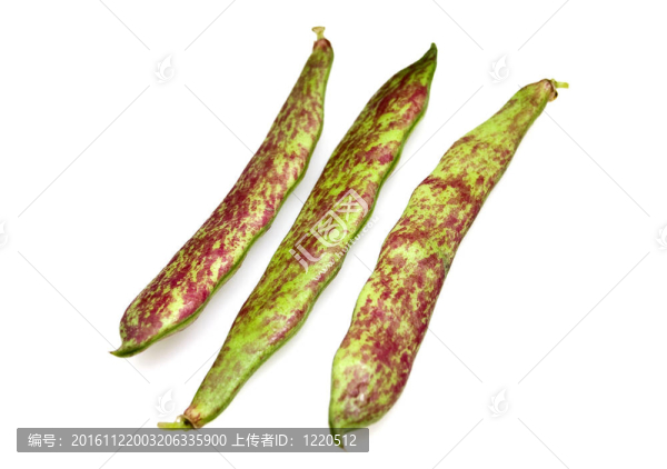 新鮮的意大利豆