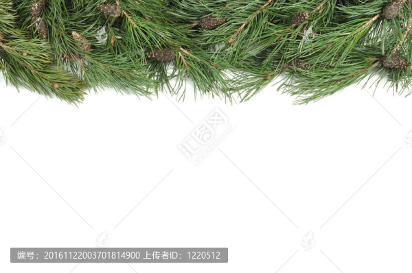 圣誕節(jié)的綠色邊框