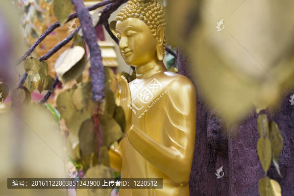 金菩薩
