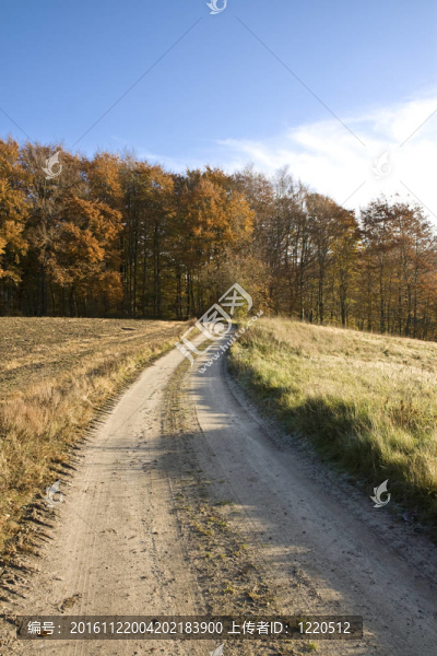 土路