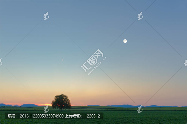 在Pfalz黃昏的群山