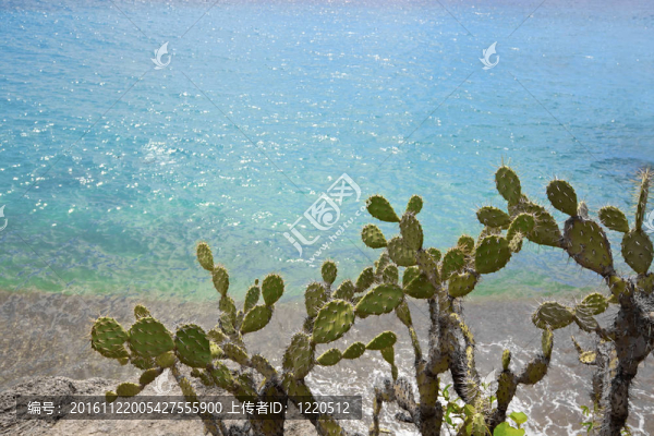 在加勒比海島上美麗的景觀；庫拉索島