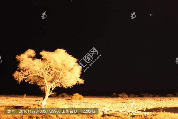 夜間在澆水洞