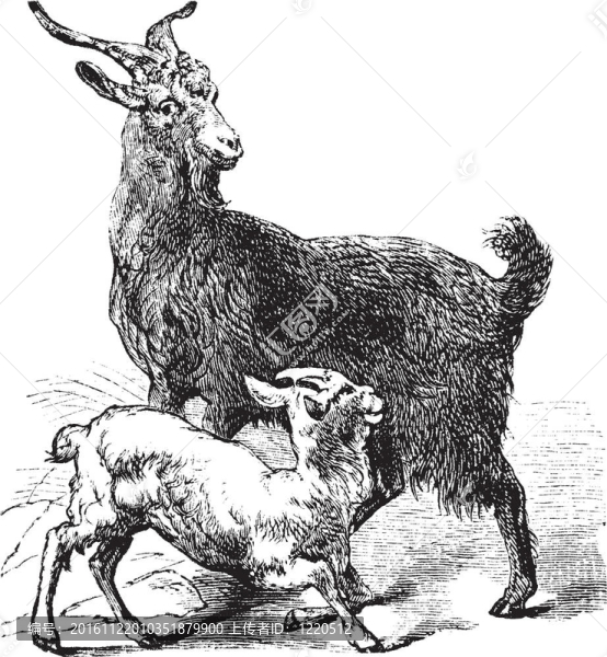國內(nèi)山羊復(fù)古雕刻
