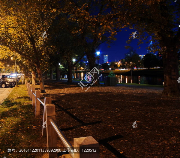 夜公園