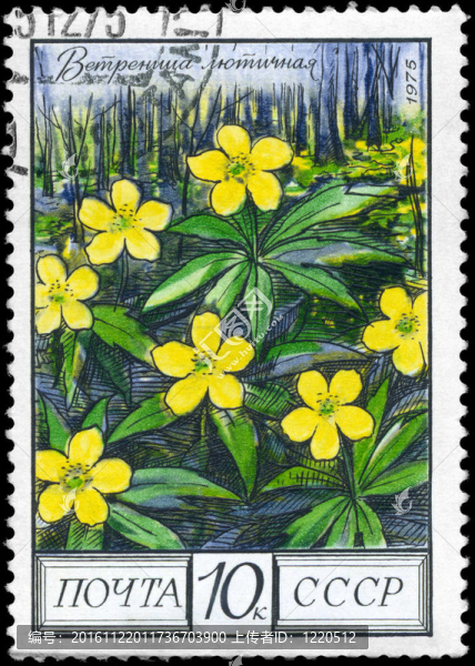 USSR,-大約1975黃色銀蓮花
