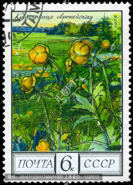 USSR,-大約1975金蓮花