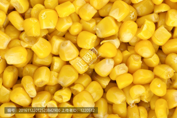 食品背景：制備玉米粒