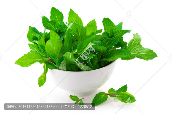薄荷在碗