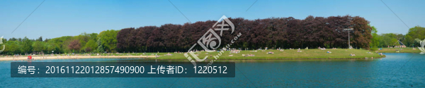 公園里的人