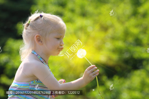 女孩與蒲公英