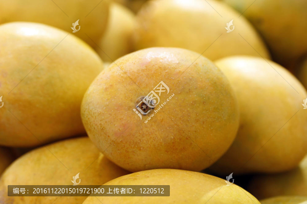 印度阿方索芒果